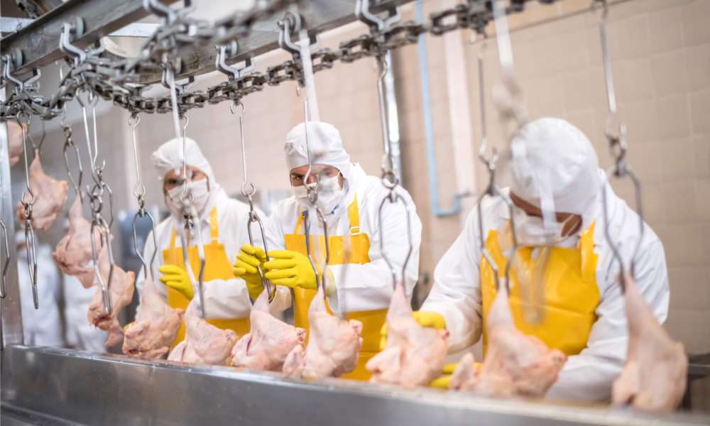 Meat Processing Case Study